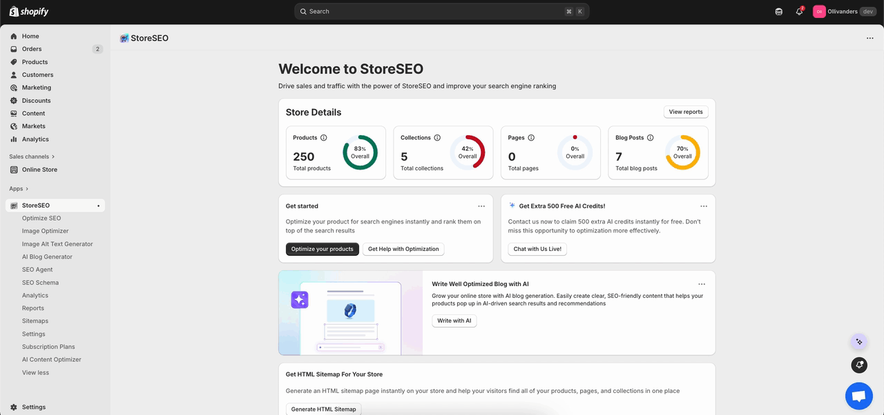 StoreSEO Insights